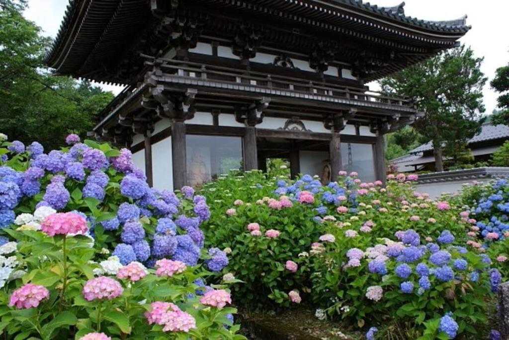 Sanzen Ya Kyoto さんぜんやきょうと- Cozy Art Space For Lover Of Travel - Экстерьер фото