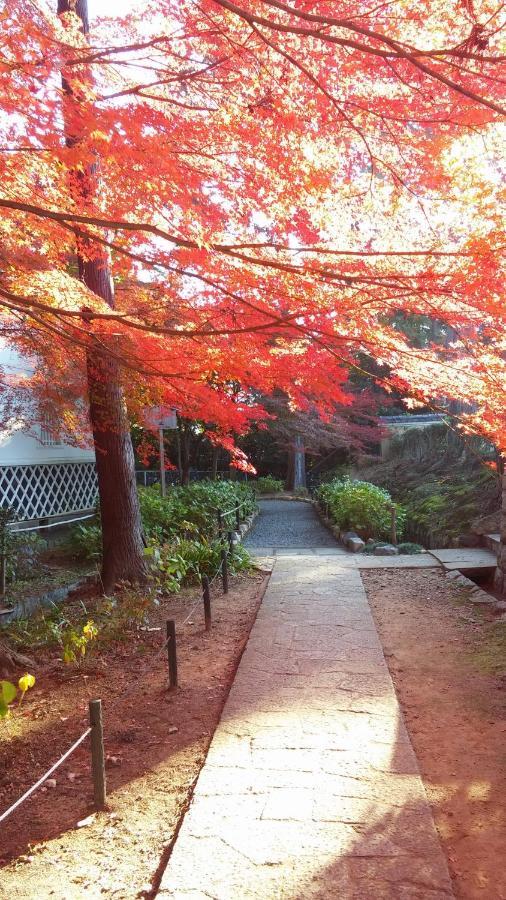 Sanzen Ya Kyoto さんぜんやきょうと- Cozy Art Space For Lover Of Travel - Экстерьер фото