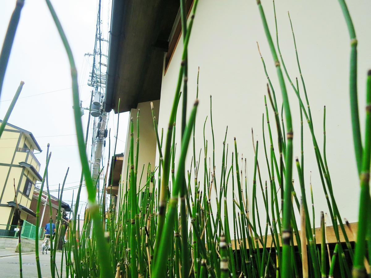 Sanzen Ya Kyoto さんぜんやきょうと- Cozy Art Space For Lover Of Travel - Экстерьер фото